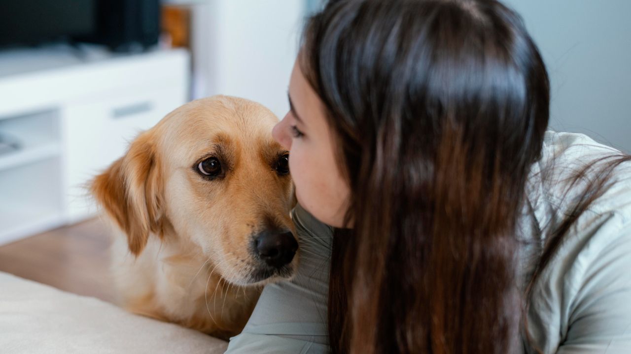 How Emotional Support Animals Help OCD Sufferers