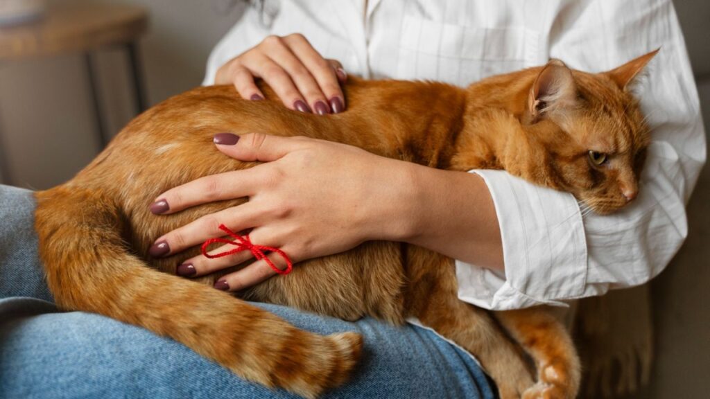 woman holding emotional support cat