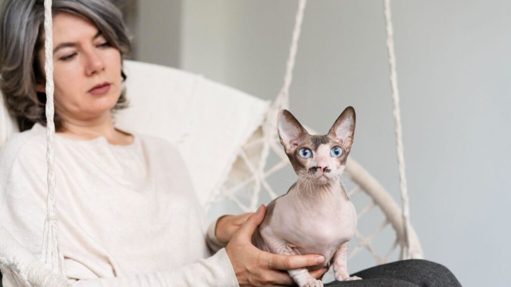 woman holding hairless cat