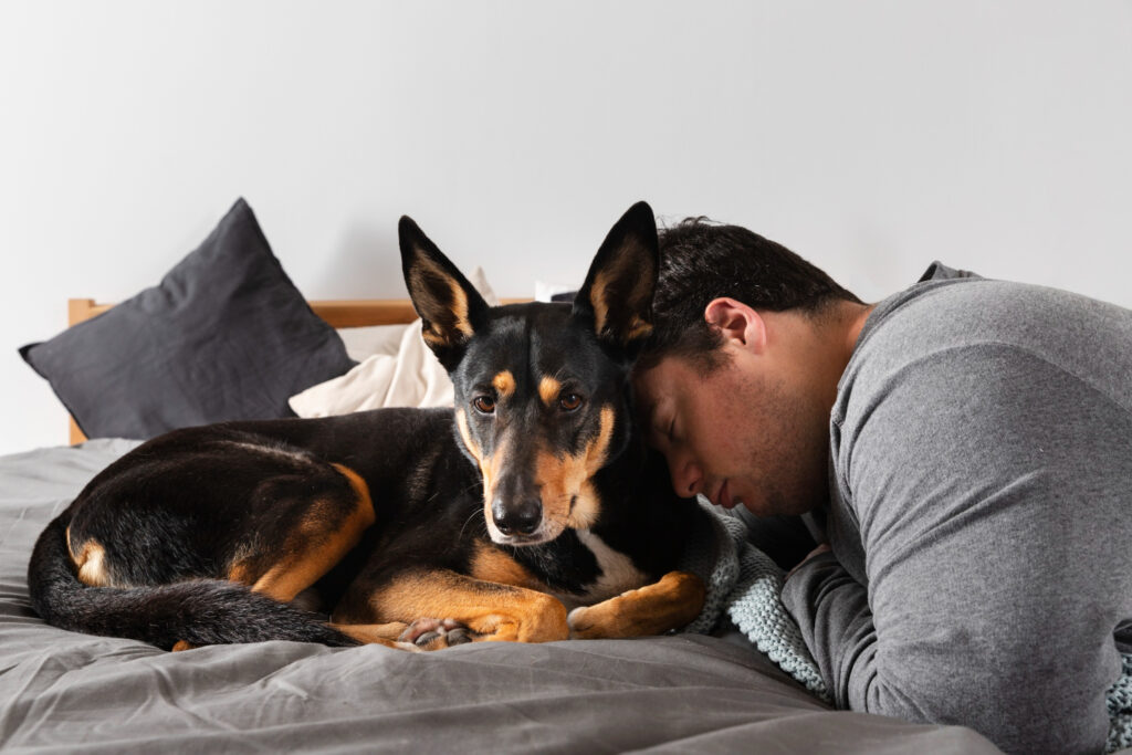 man and adorable dog indoors