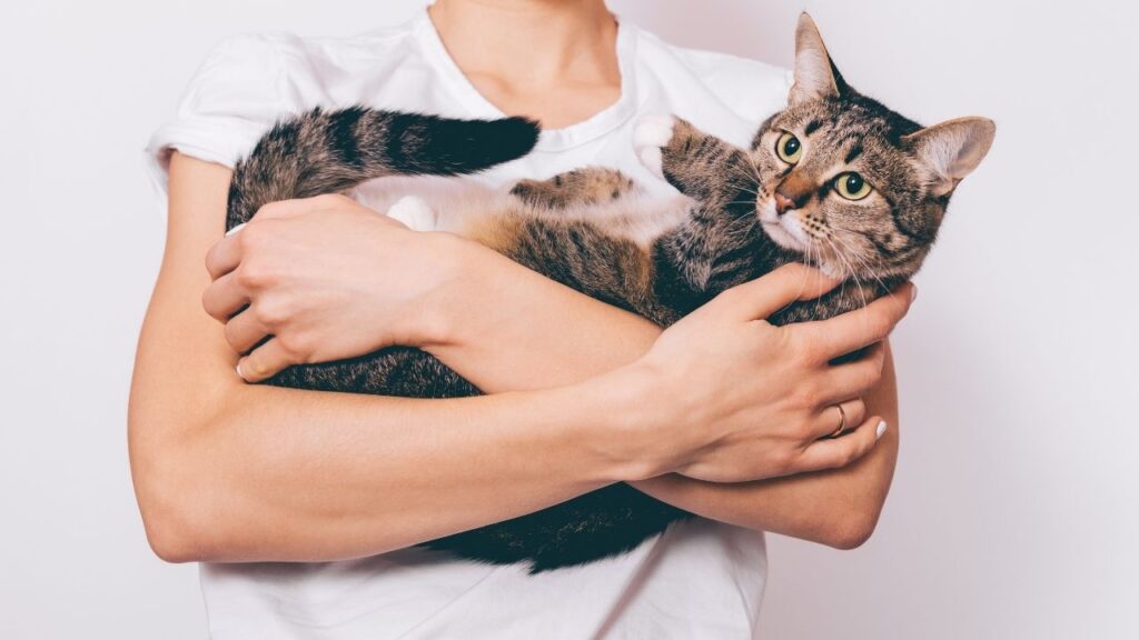 woman holding cat