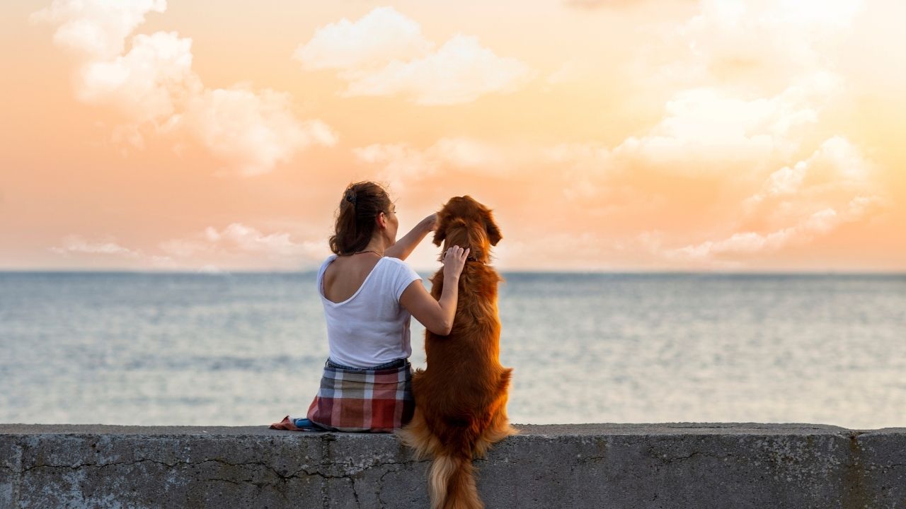 Rules and Regulations for Keeping an ESA in Los Angeles: What To Know