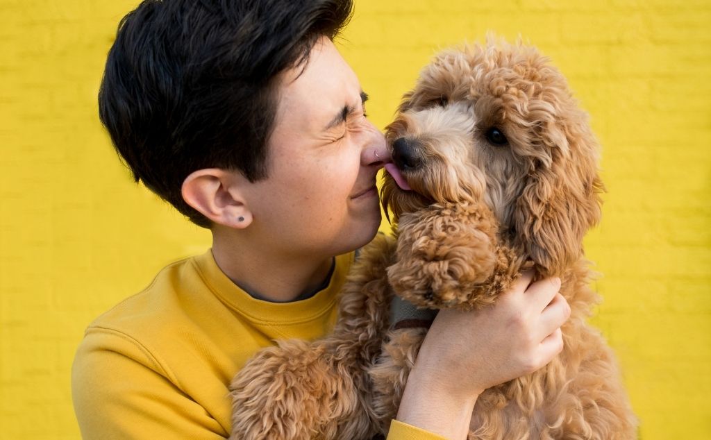 woman with emotional support doggie