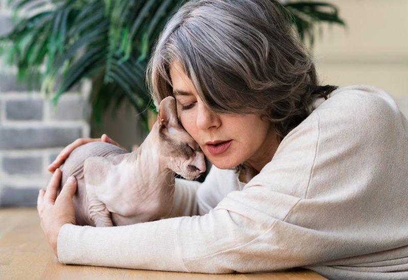 Woman and cat being affectionate Woman and cat being affectionate