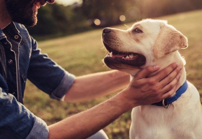 esa dog and male owner esa dog and male owner