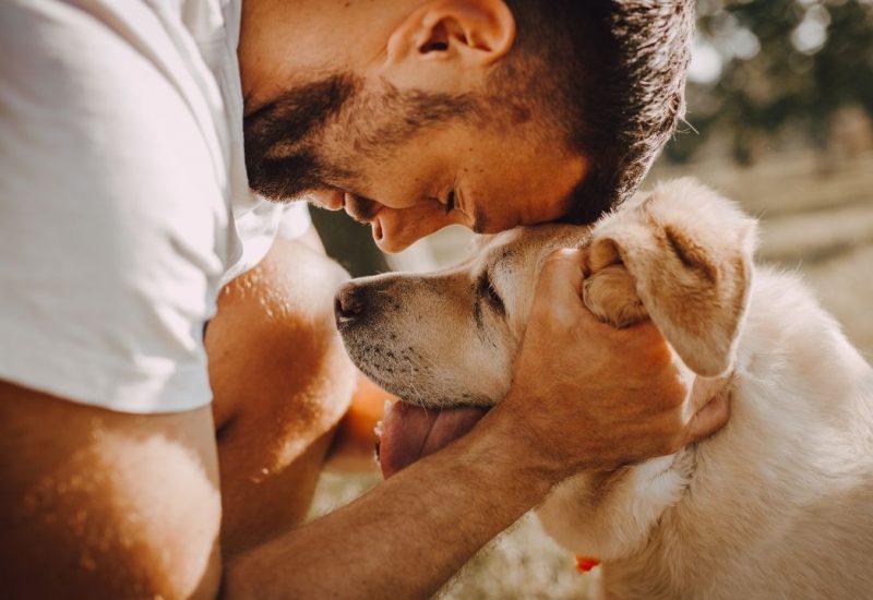 esa dog and owner esa dog and owner
