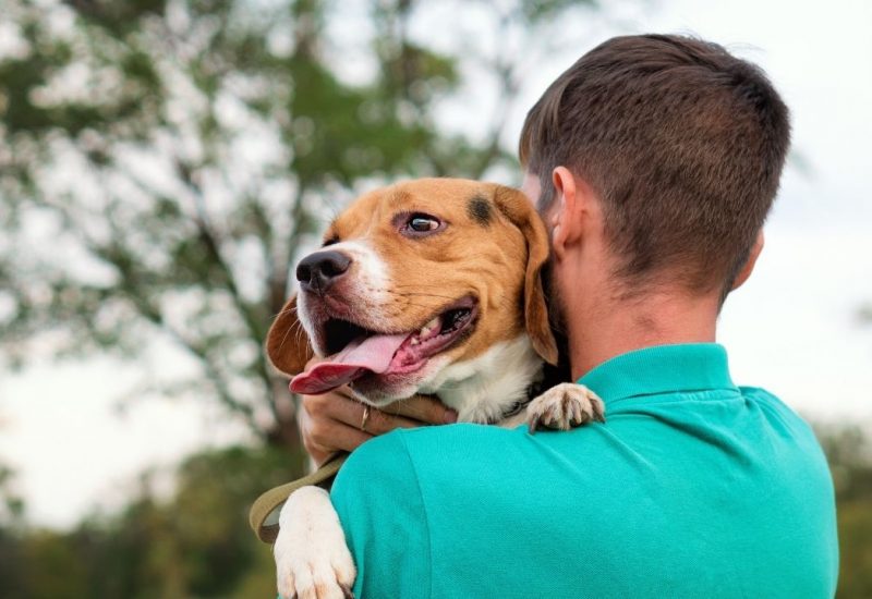 guy holding dog guy holding dog
