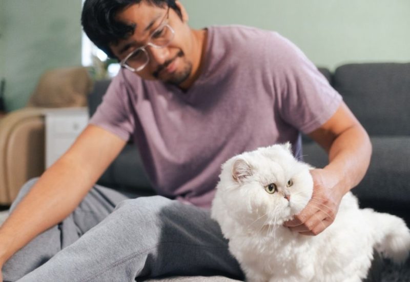 guy with emotional support cat