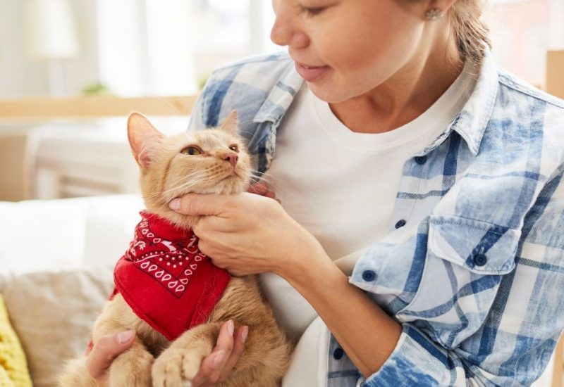 woman esa owner with cat woman esa owner with cat