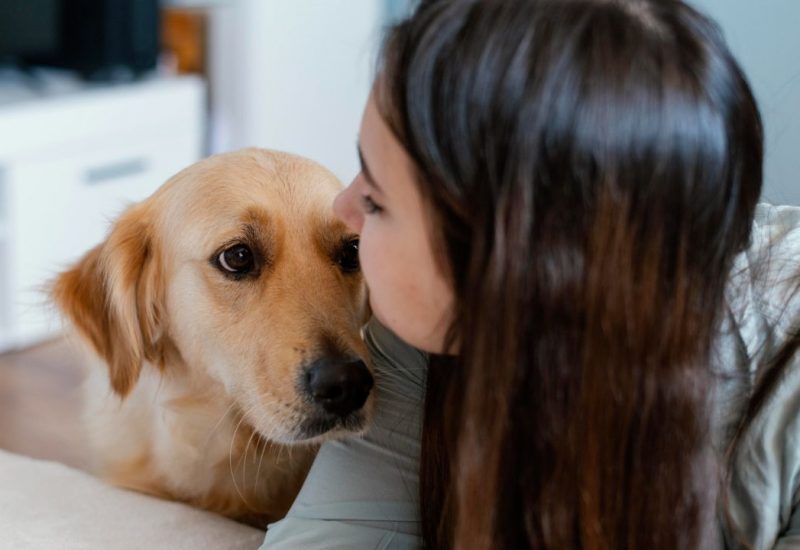 woman getting comfort from her ESA dog woman getting comfort from her ESA dog