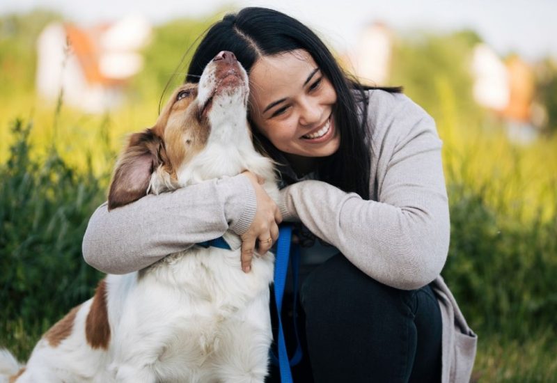 woman hugging dog woman hugging dog