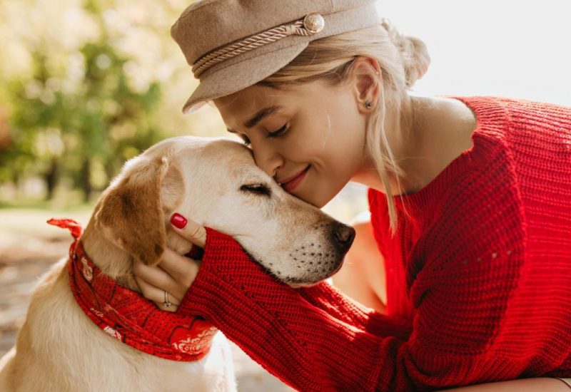 woman loving on her labrador retriever woman loving on her labrador retriever