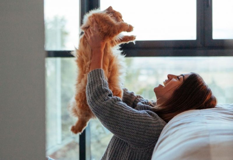 woman with cat in bedroom woman with cat in bedroom