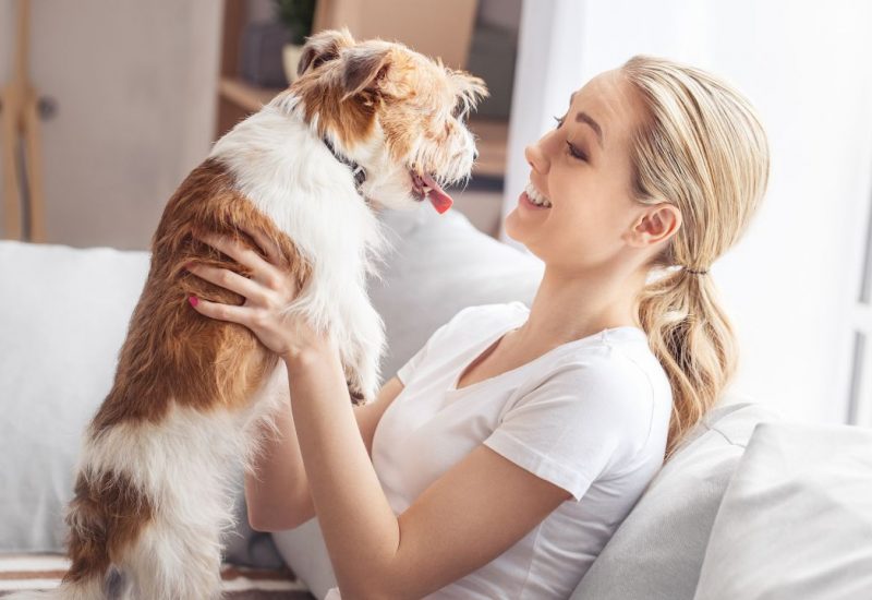 woman with esa dog on couch woman with esa dog on couch
