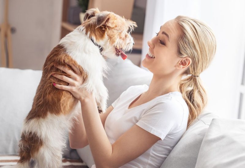 woman with esa dog on couch
