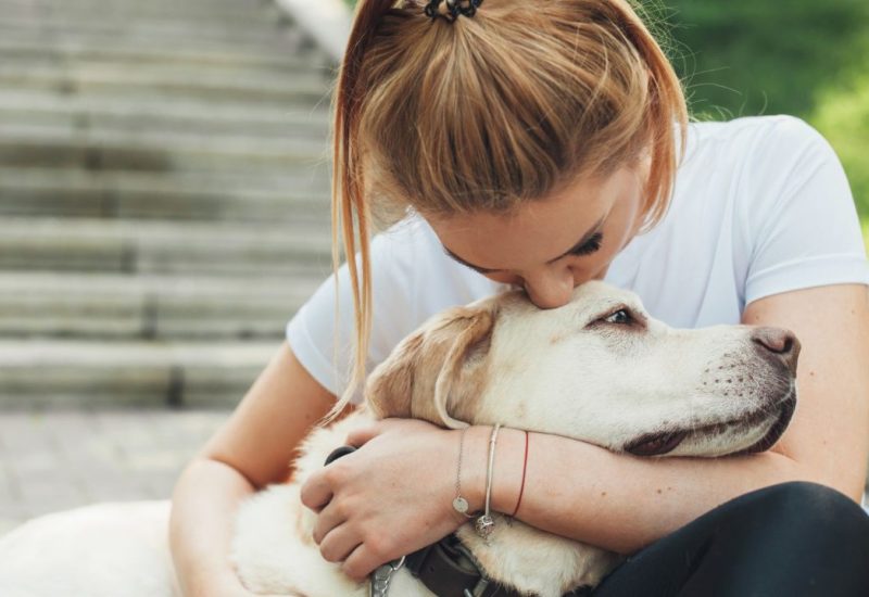 woman with labrador retriever emotional support animal woman with labrador retriever emotional support animal