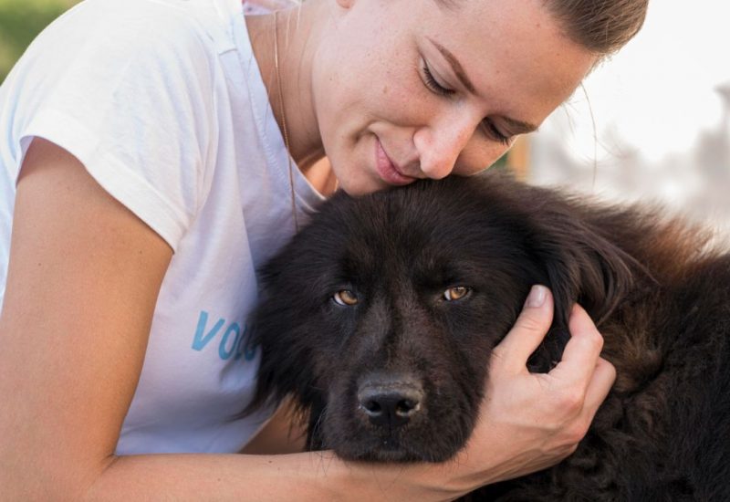 women hugging black dog women hugging black dog